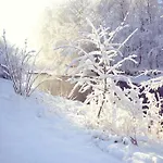 Paryzanka Basen 3* 포로닌