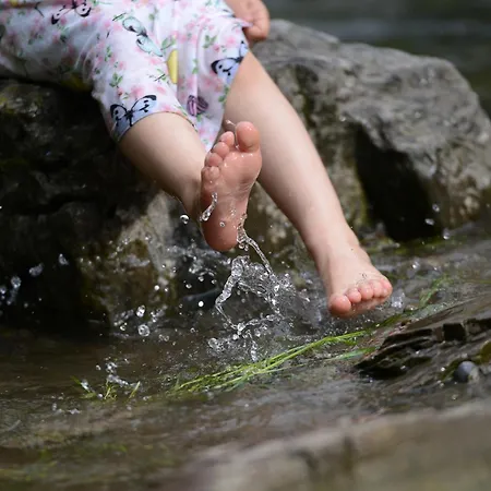 Paryzanka Basen Poronin