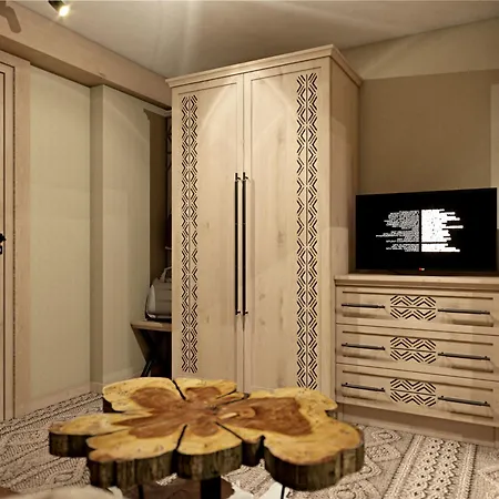 Paryzanka Basen Rezort Poronin